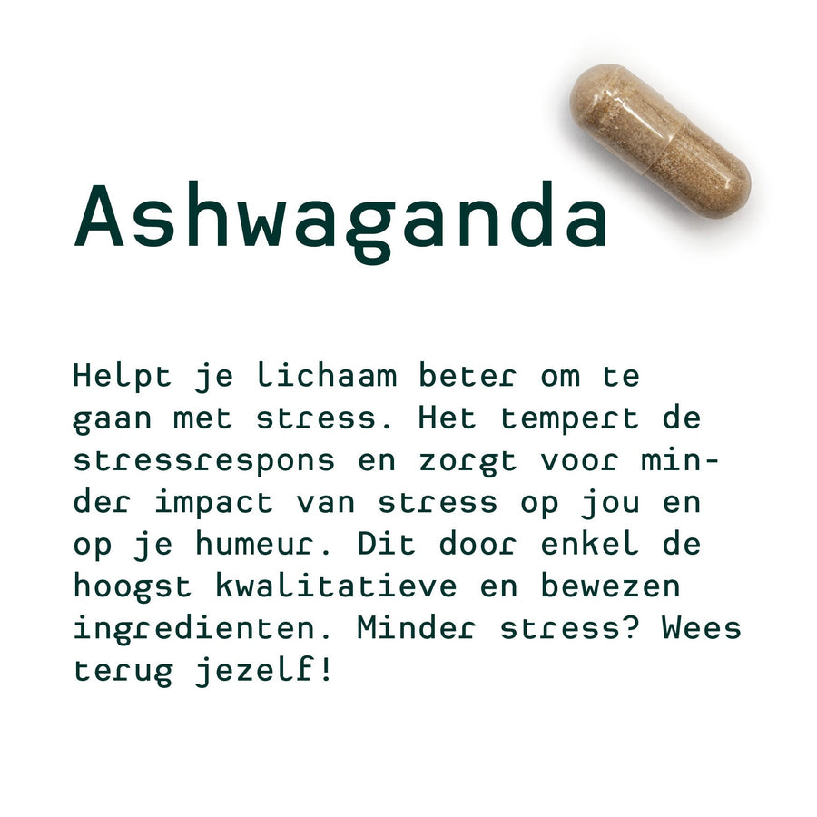Metis Personalised van Dries (Ashwaganda, Ginseng, Lactobacillus)