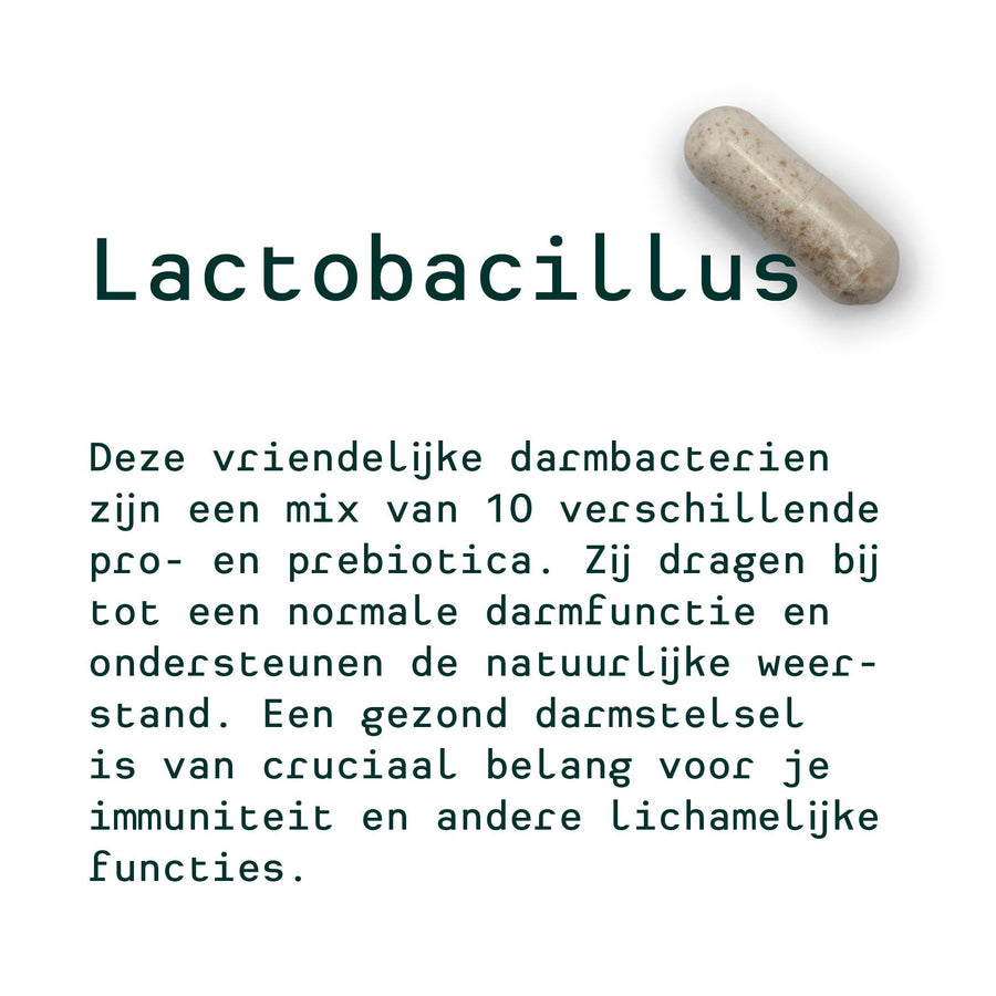 Ilse's personal 30-day plan (Echinacea & Propolis, Lactobacillus, Digest)