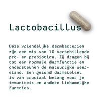 Metis Personalised van Ina (Ginseng, Valerian and Melatonin, Lactobacillus)