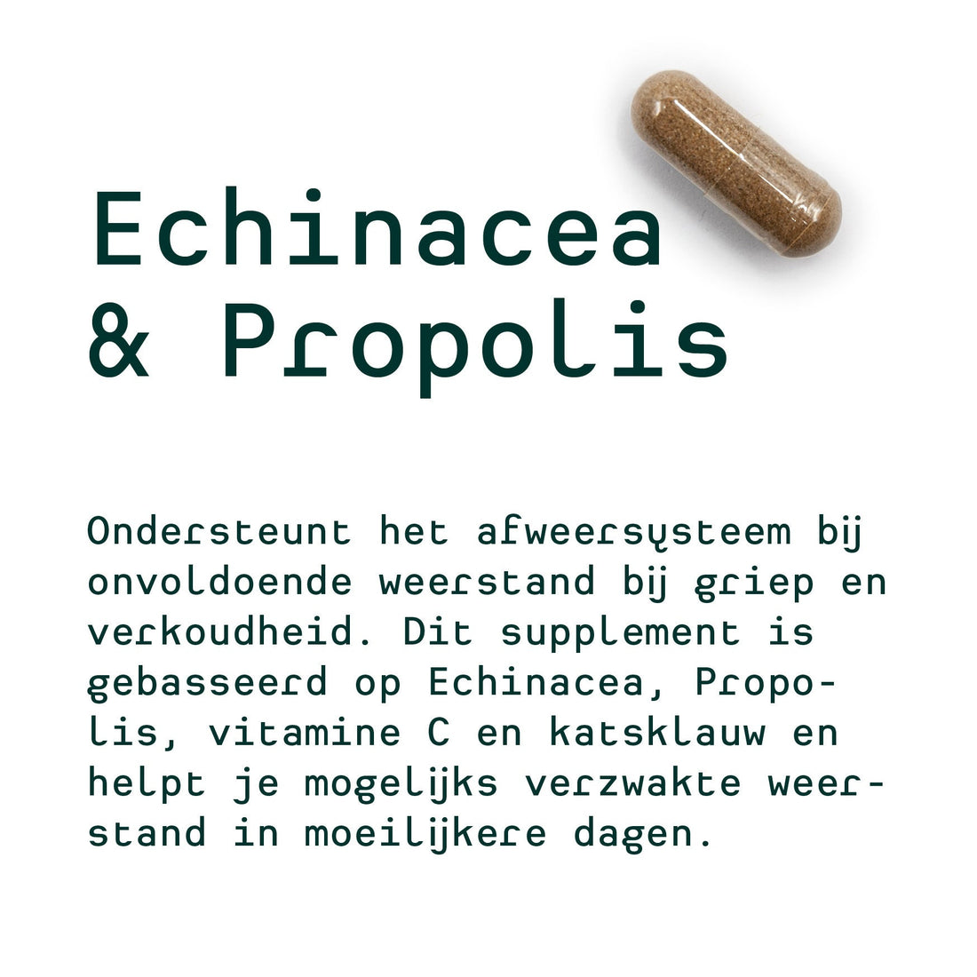 Ilse's personal 30-day plan (Echinacea & Propolis, Lactobacillus, Digest)